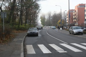 Straż Miejska w akcji