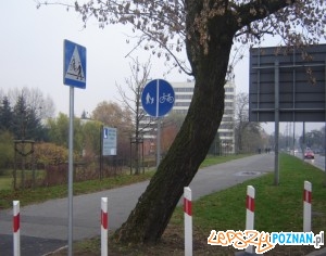 wojska polskiego 1