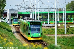 foto MPK R. Bartkowiak pestka