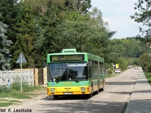 foto: MPK K. Lesińska