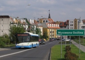 Warbus Murowana Goślina Foto: warbus.pl
