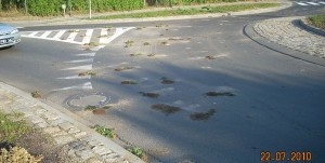 zniszczona i rozrzucona zieleń w Puszczykowie Foto: UM Puszczykowo