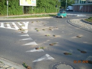 zniszczona i rozrzucona zieleń w Puszczykowie Foto: UM Puszczykowo