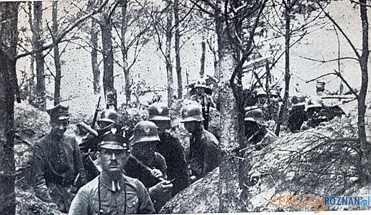 Powstanie_wielkopolskie_1918-1919_powstańcy w okopach