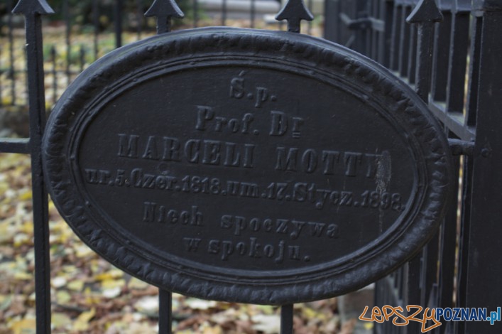 Marceli Motty Tablica na Cmentarzu Zasłużonch Wielkopolan