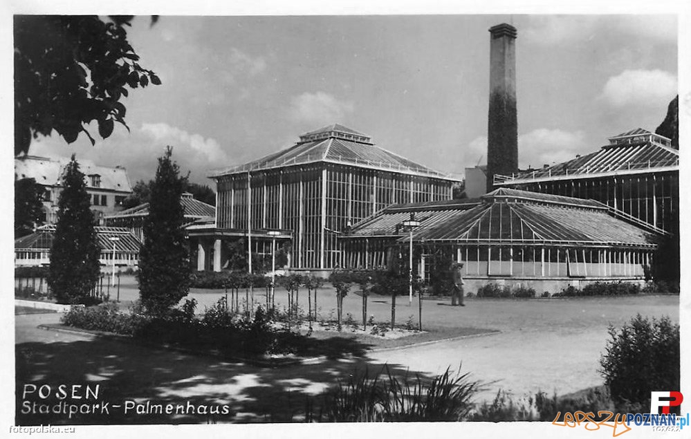 Palmiarnia Poznańska w roku 1942