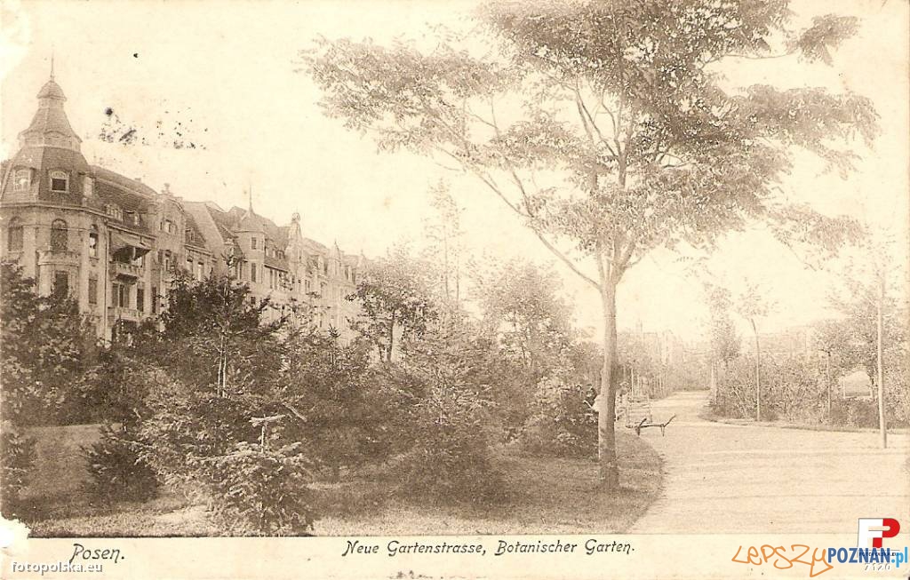 Ogród Botaniczny dziś park Wilsona w Poznaniu - lata 1900-1910 Foto: fotopolska.eu