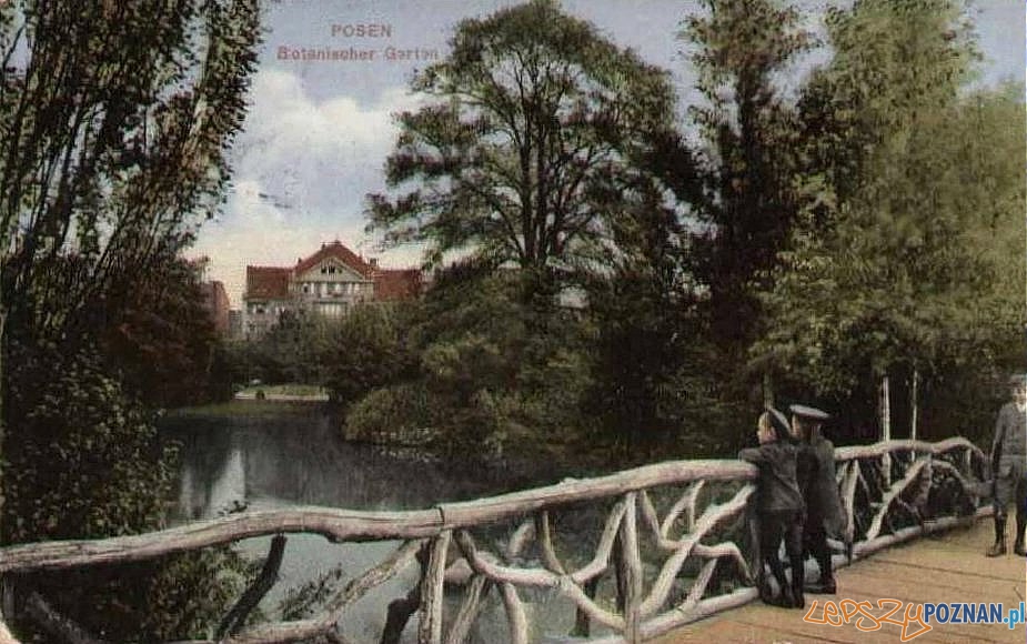 Ogród Botaniczny w roku 1915 (dzis Park Wilsona) Foto: fotopolska.eu