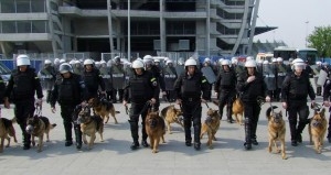 Policja na Stadionie Miejskim Foto: KWP w Poznaniu