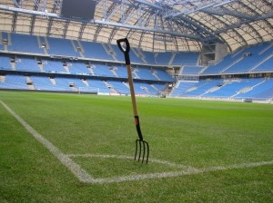 murawa stadion miejski widły Foto: lepszyPOZNAN.pl / ag