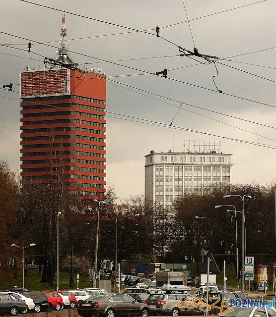 Collegium Altum Uniwersytetu Ekonomicznego