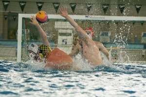 Alstal Waterpolo Poznan - LSTW UŁ Łódź Foto: Ewelina Gutowska