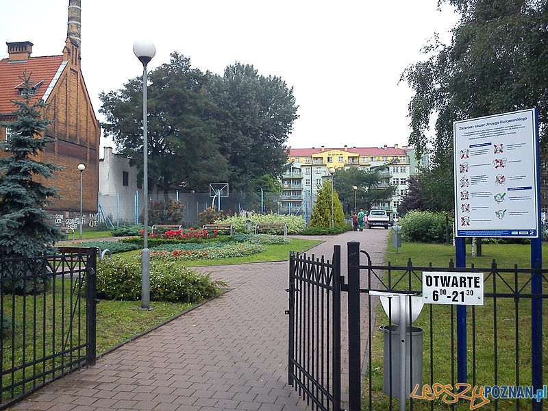 Skwer Kurczewskiego od strony ul. Bergera Foto: wikipedia.pl Skwer Kurczewskiego od strony ul. Bergera Foto: wikipedia.pl