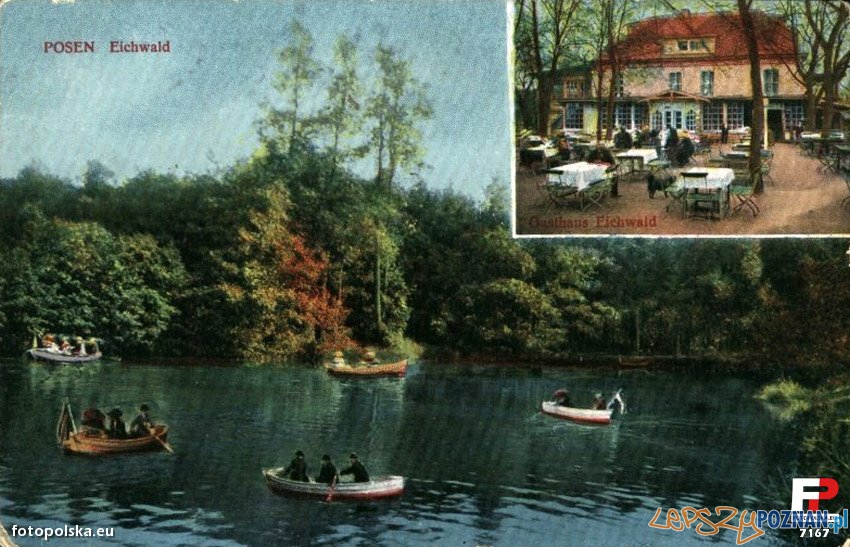 Staw na Dębinie w Poznaniu, początek XX wieku Foto: fotopolska.eu Staw na Dębinie w Poznaniu, początek XX wieku Foto: fotopolska.eu