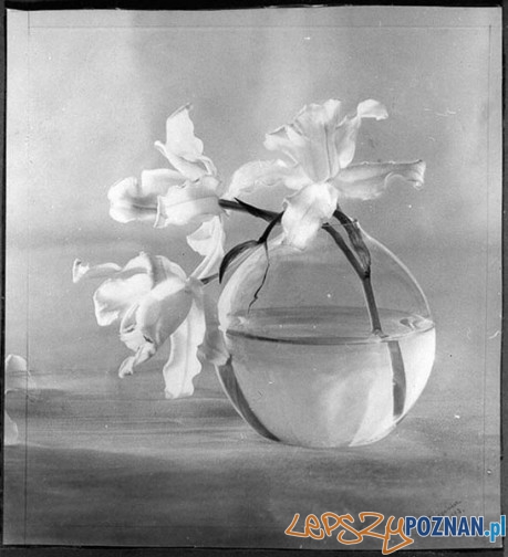 Fortunata Obrąpalska, bez tytułu-Chłopiec przed chatą Foto: http://www.fotopolis.pl/