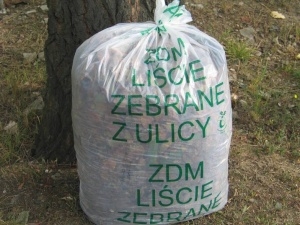 ZDM – liście zebrane z ulicy Foto: ZDM