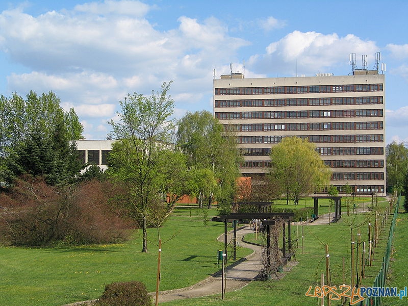 Budynki Uniwersytetu Przyrodniczego Foto: wikipedia.pl