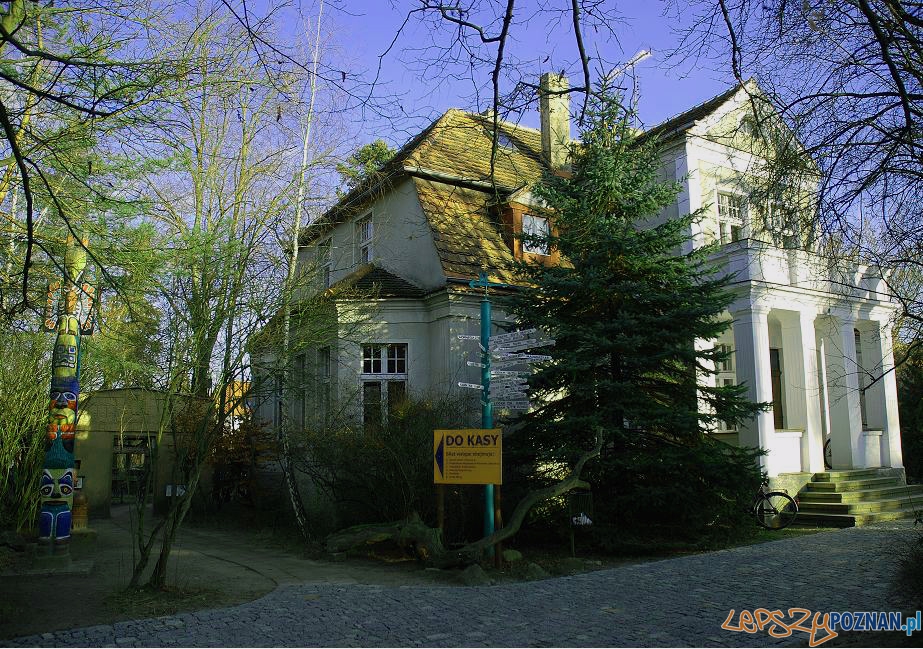 Muzeum Fidlera w Puszczykowie Foto: wikipedia Muzeum Fidlera w Puszczykowie Foto: wikipedia