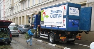 Zbieramy Choinki Foto: UM Poznania