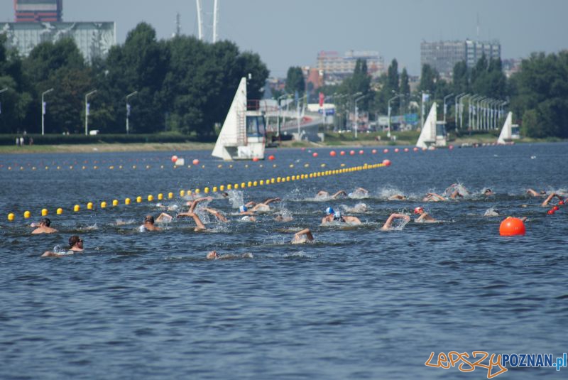 Grand Prix Wielkopolski na Malcie (2012) Foto: GP w pływaniu długodystansowym/facebook