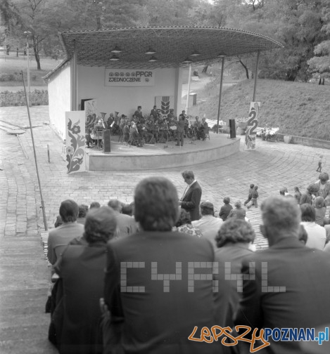 Amfiteatr w Parku Tysiąclecia 21.07.1978 Foto: Stanisław Wiktor/Cyryl