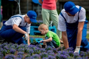 Sadzenie kwiatów w akcji VW Foto: materiały prasowe