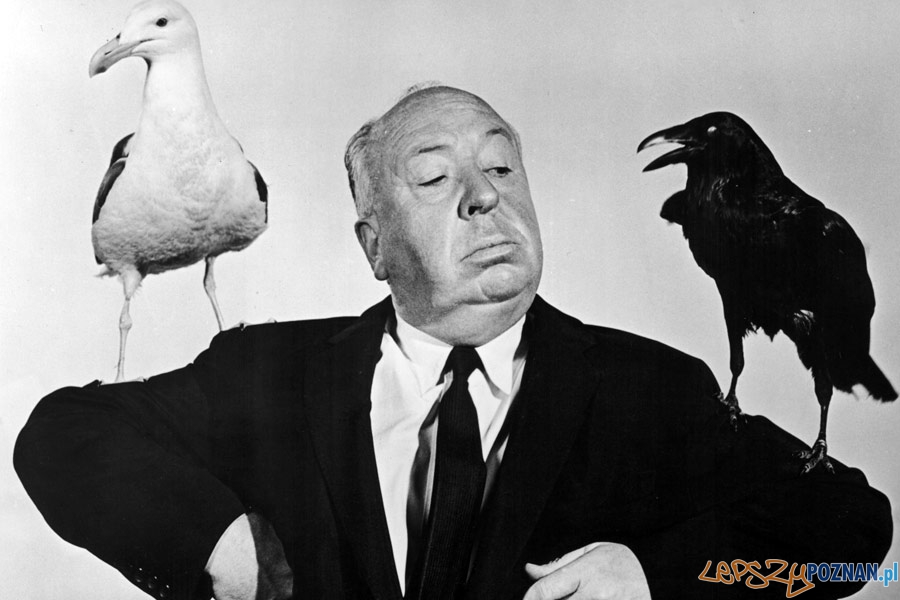 Alfred Hitchcock Foto: cc/wiki