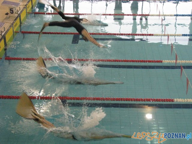 Pływanie w płetwach Foto: mat. prasowe
