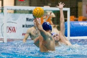 DSW Waterpolo Poznań - WTS Bytom, Termy Maltańskie 23.11.2013 r. Foto: lepszyPOZNAN.pl / Piotr Rychter