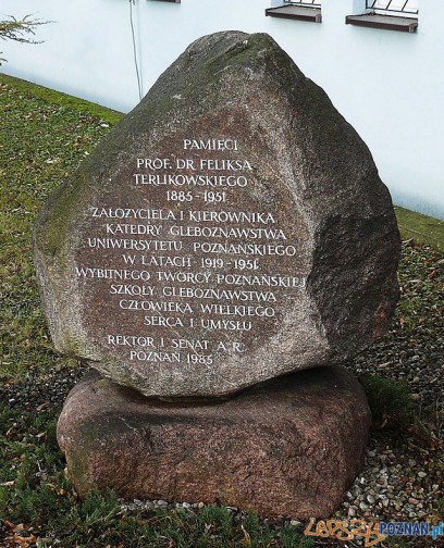 Kamień pamiatkowy prof Feliksa Terlikowskiego na poznańskim Boninie Foto: wikipedia