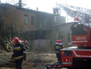 Pożar opuszczonej fabryki w Czerwonaku Foto: Straż Pożarna