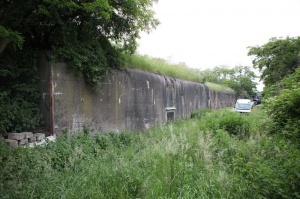 Plantacja znajdowała się w bunkrze Foto: materiały policyjne