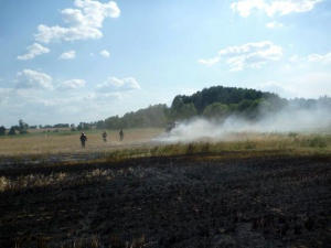 Pożar zboża Foto: JRG-8