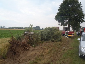 Wypadek w Wygodzie Foto: KP PSP we Wrześni