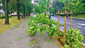 Po popołudniowej burzy Foto: lepszyPOZNAN.pl / gsm