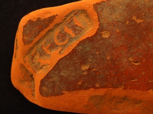 Fragment terra sigillata - Wymysłowo, okres rzymski Foto: Muzeum Archeologiczne w Poznaniu