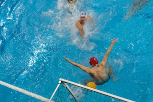 DSW Waterpolo Poznań - WTS Bytom - 23.11.2014 r. Foto: LepszyPOZNAN.pl / Paweł Rychter