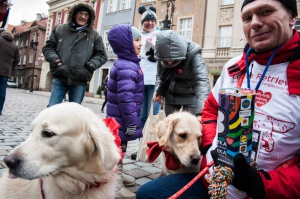 Golden retrievery podczas XXIII finału WOŚP Foto: © LepszyPOZNAN.pl / Karolina Kiraga