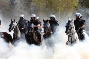 Policyjne konie zdawały egzamin bojowy Foto: KW Policji w Poznaniu