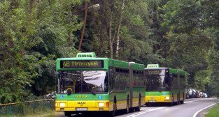 Autobus 46 do Strzeszynka