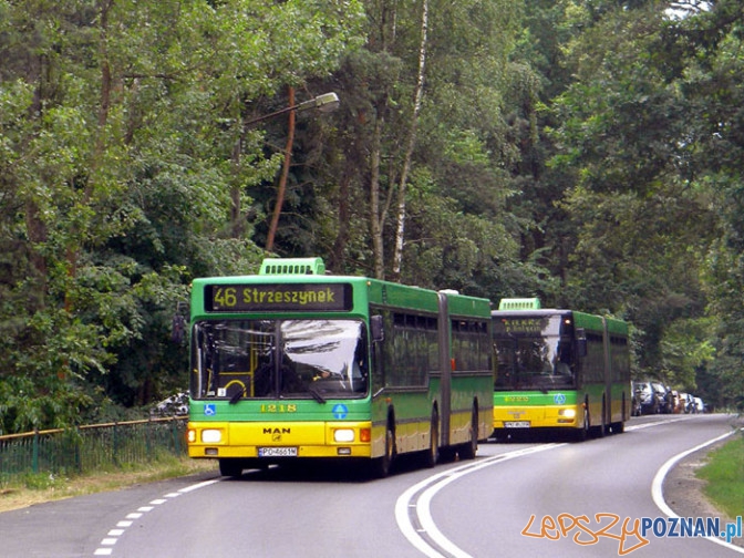 Autobus 46 do Strzeszynka