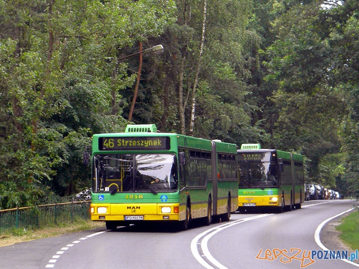 Autobus 46 do Strzeszynka