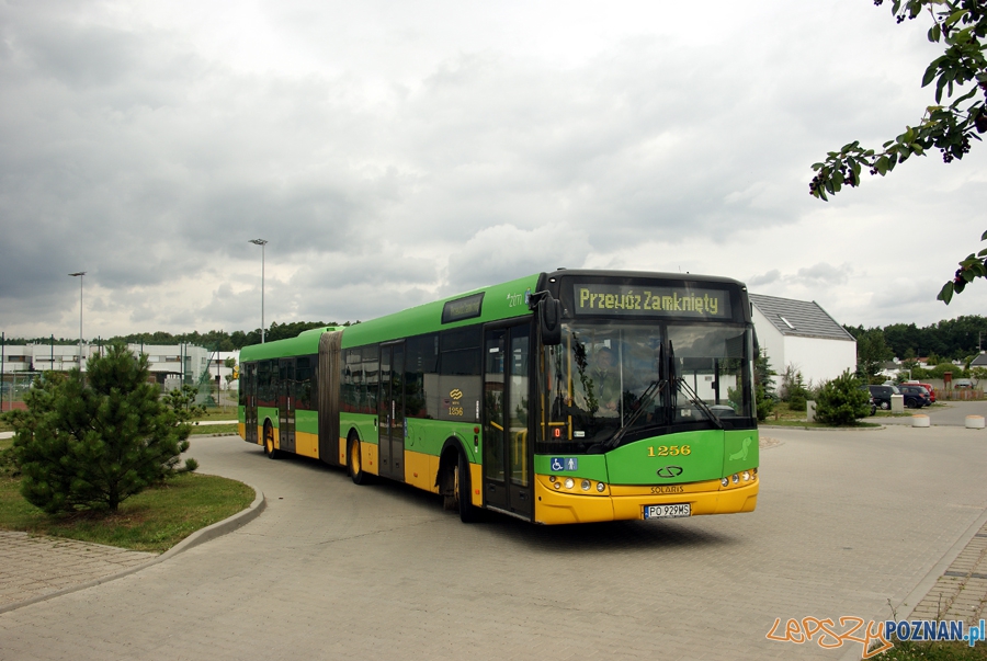 Autobus na rondzie w Dąbrówce