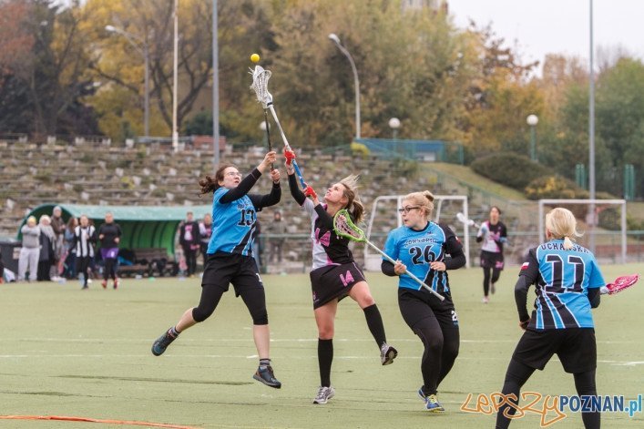 I Turnieju Polskiej Ligi Lacrosse Kobiet rogrywany w Poznaniu na boisku WKS Grunwald. Mecz pomiędzy Poznań Hussars - Korsarki Trójmiasto zakończył się wynikiem 8:2. Poznań 18.10.2015 r.