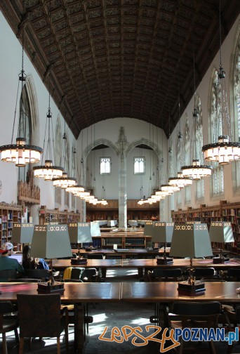 Biblioteka Harvard