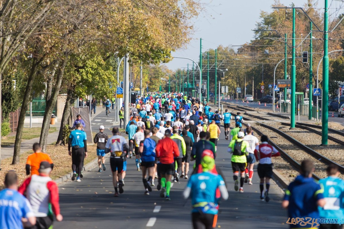 16. Poznań Maraton