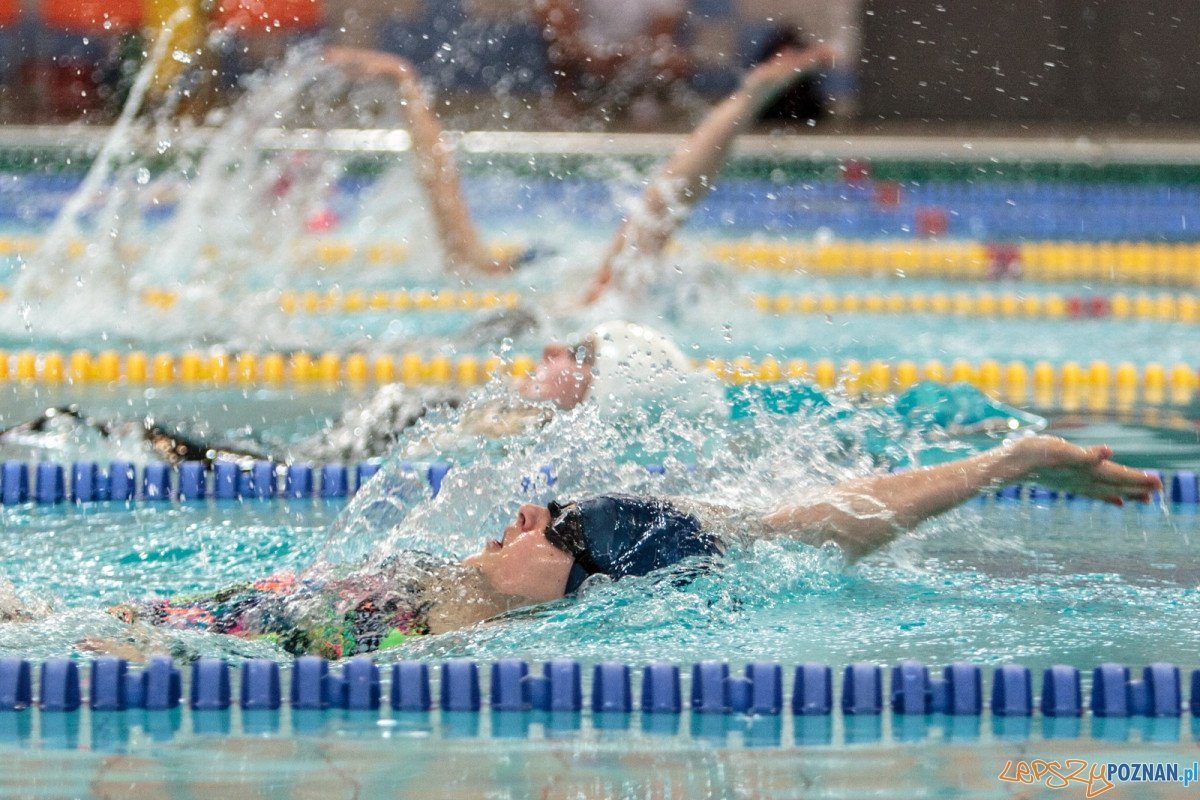Na poznańskich Termach Maltańskich odbyły się Zimowe Mistrzostwa Okregu Wielkopolskiego w pływaniu - Poznań 15-16.02.2013 r.
