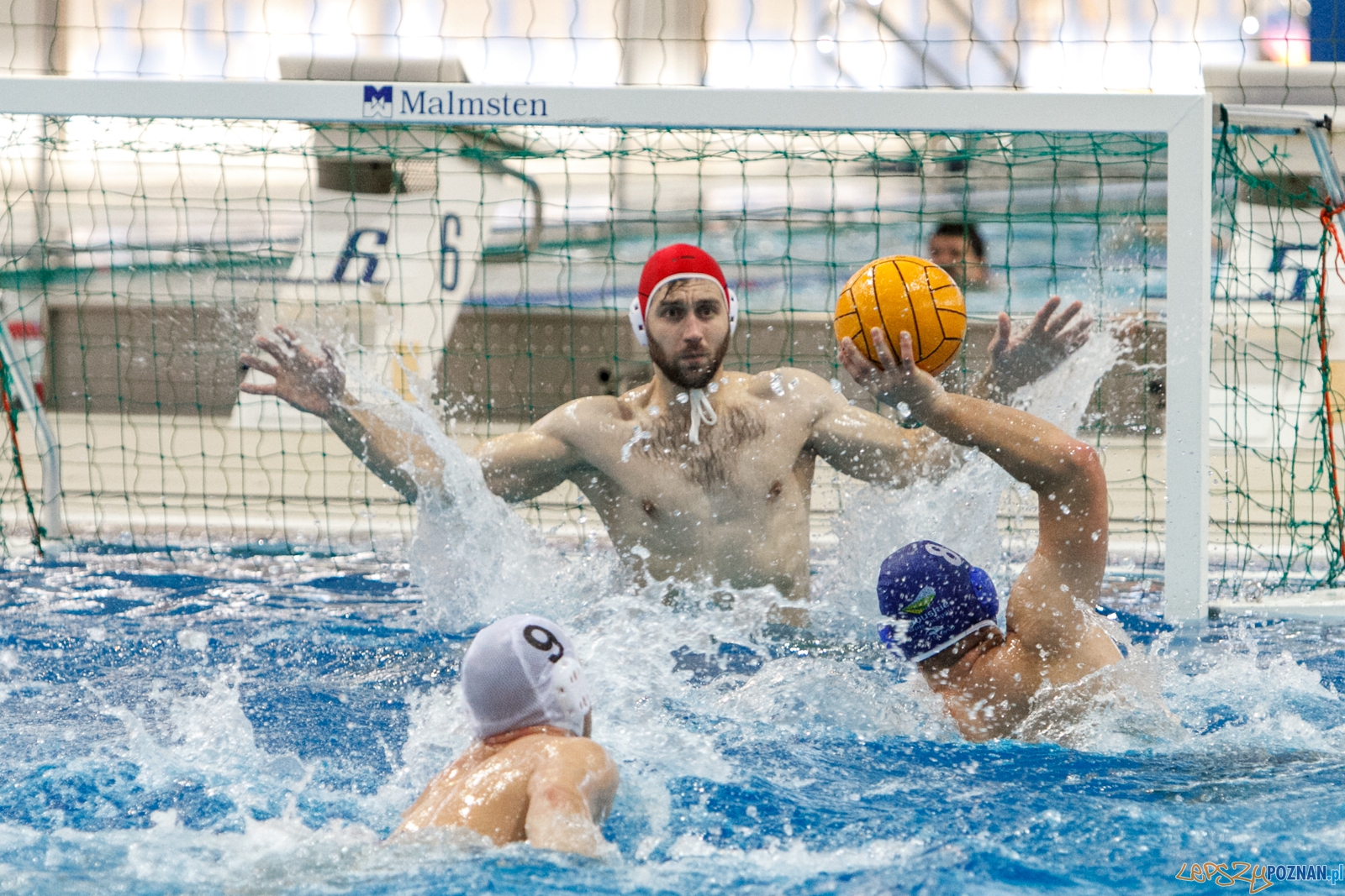 W ramach 3 kolejki Mistrzostw Polski Seniorów w piłce wodnej rozegrano dzisiaj pierwsze z dwóch spotkań na, które odbył się na Termach Maltańskich. Drużyna KS Waterpolo Poznań pewnie pokonała GKPW 59 Gorzów 27:5.