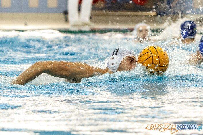 W ramach 3 kolejki Mistrzostw Polski Seniorów w piłce wodnej rozegrano dzisiaj pierwsze z dwóch spotkań na, które odbył się na Termach Maltańskich. Drużyna KS Waterpolo Poznań pewnie pokonała GKPW 59 Gorzów 27:5.