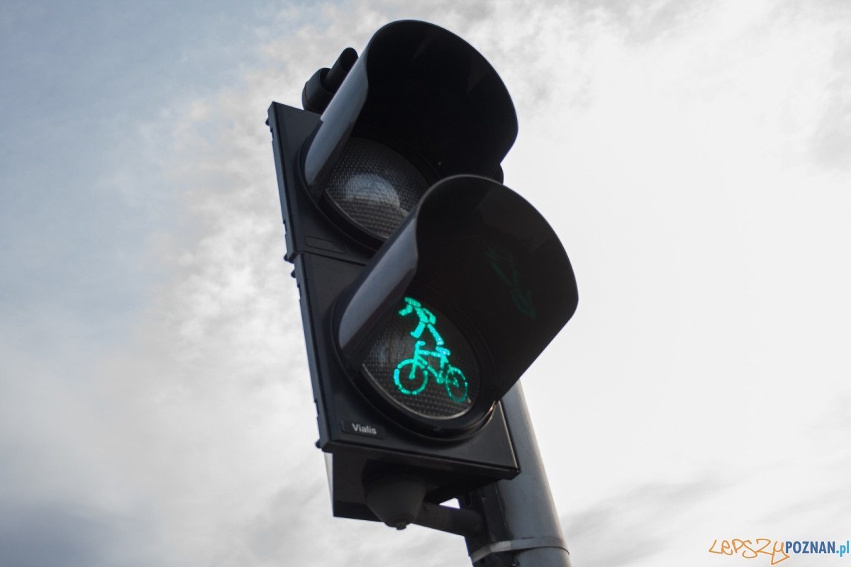 Sygnalizator / sygnalizacja świetlna / przejście dla pieszych / zielone